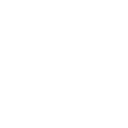 Beratung und Projekte Icon